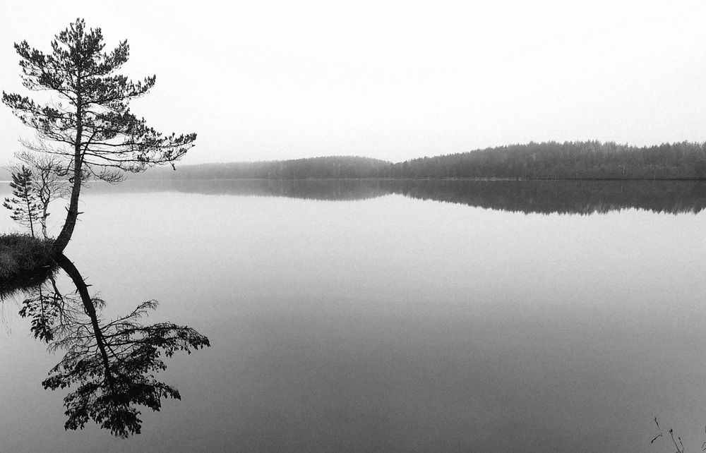 Photograph by Анна Семенова