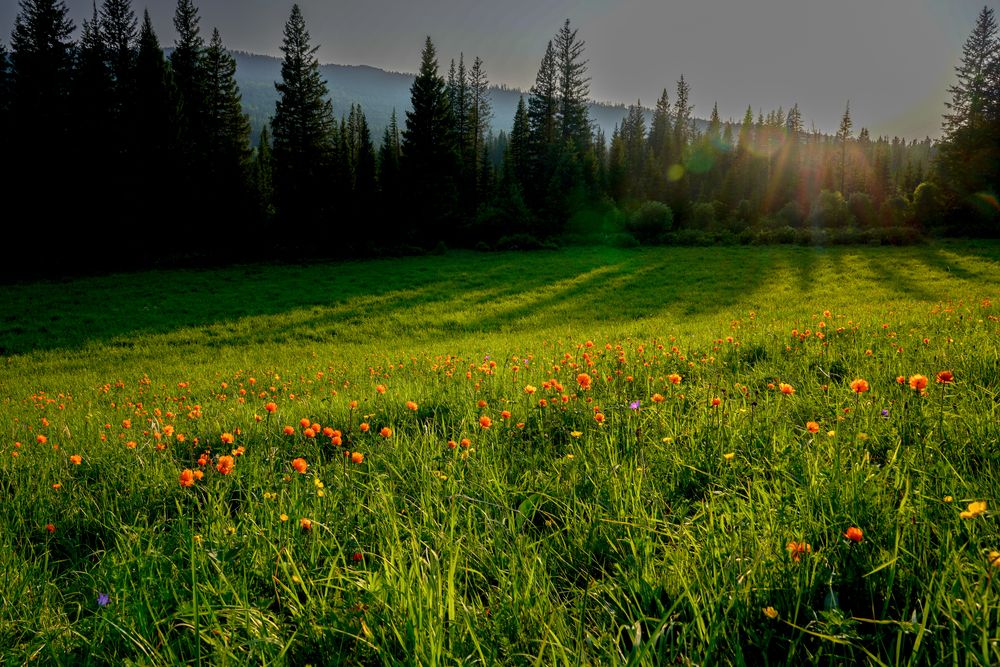 Photograph by Кузнецов Андрей