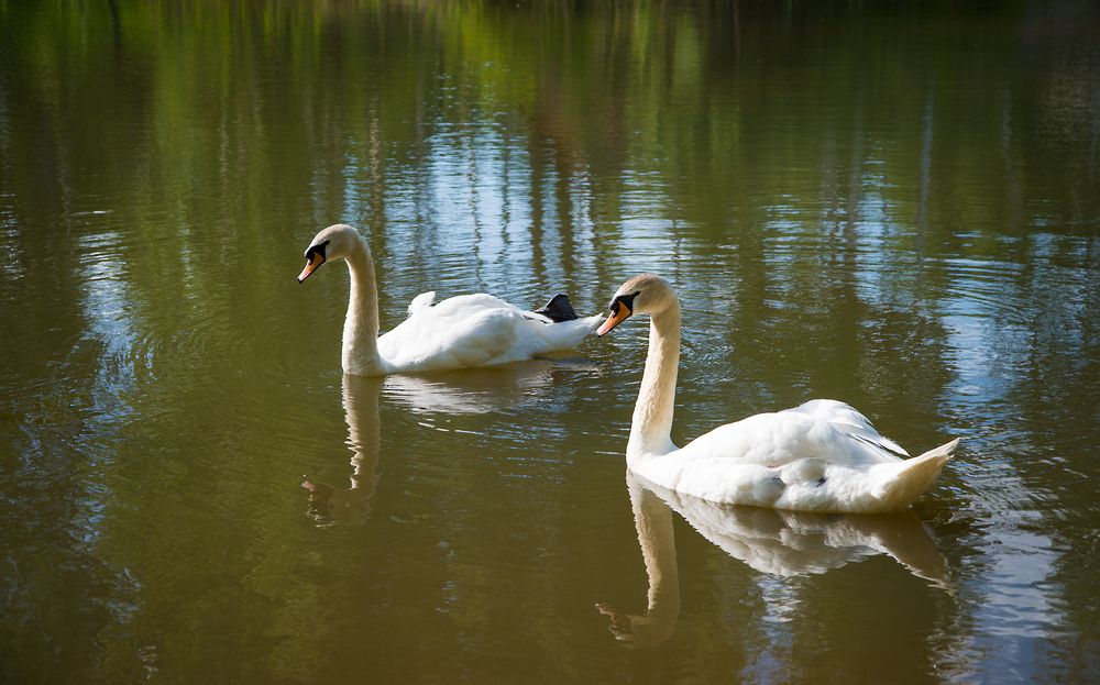 Photograph by Андрей Чуйков