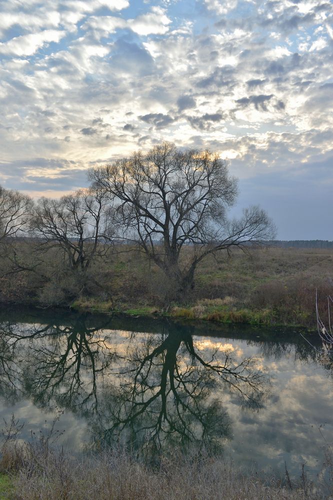 Photograph by Aleksander Perevolotsky