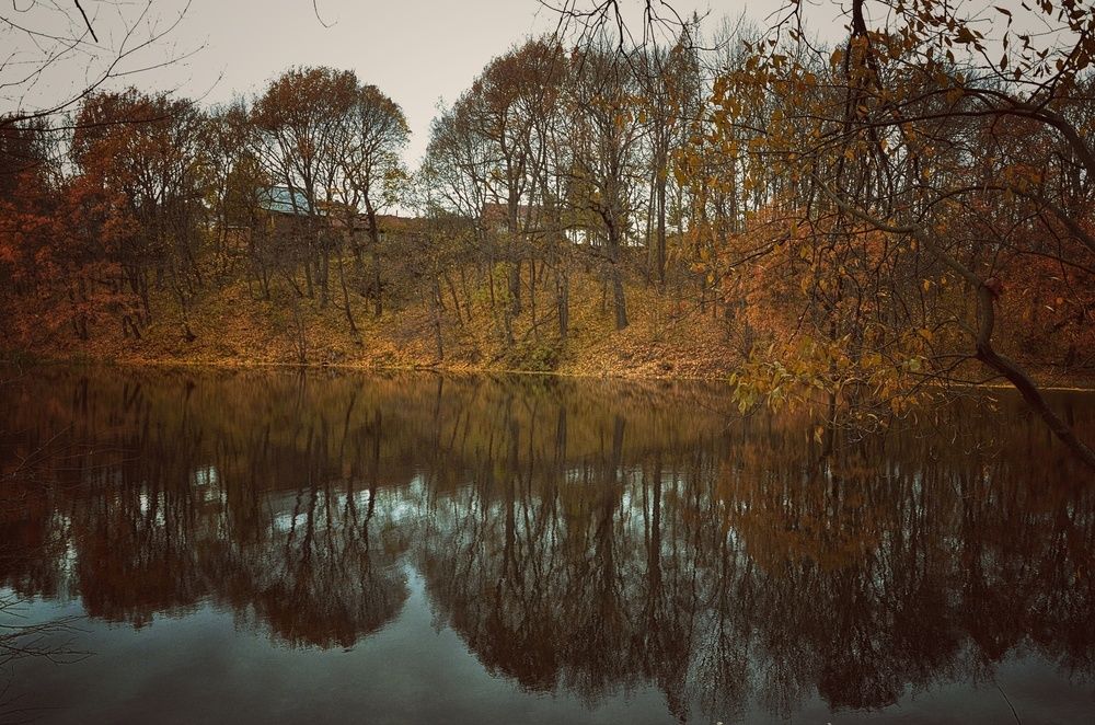 Photograph by Зыкова Мария