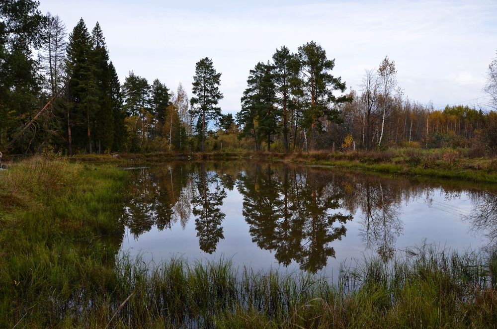 Photograph by Зыкова Мария