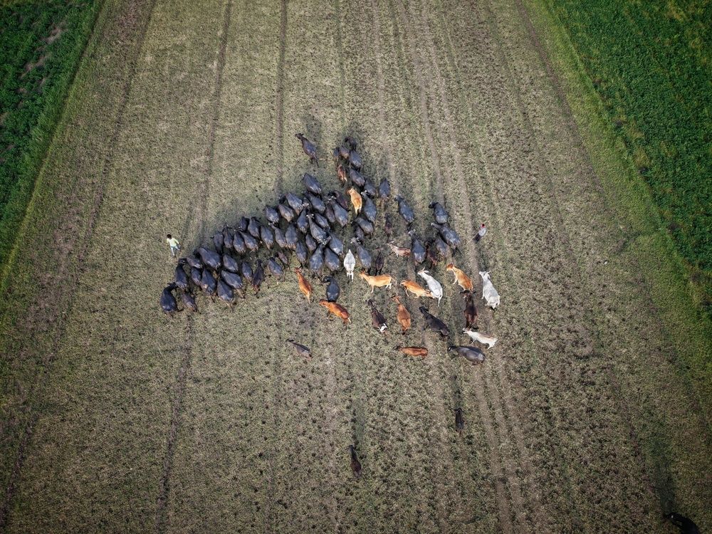 Photo #12300357