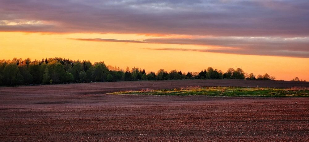 Photograph by илья шамин