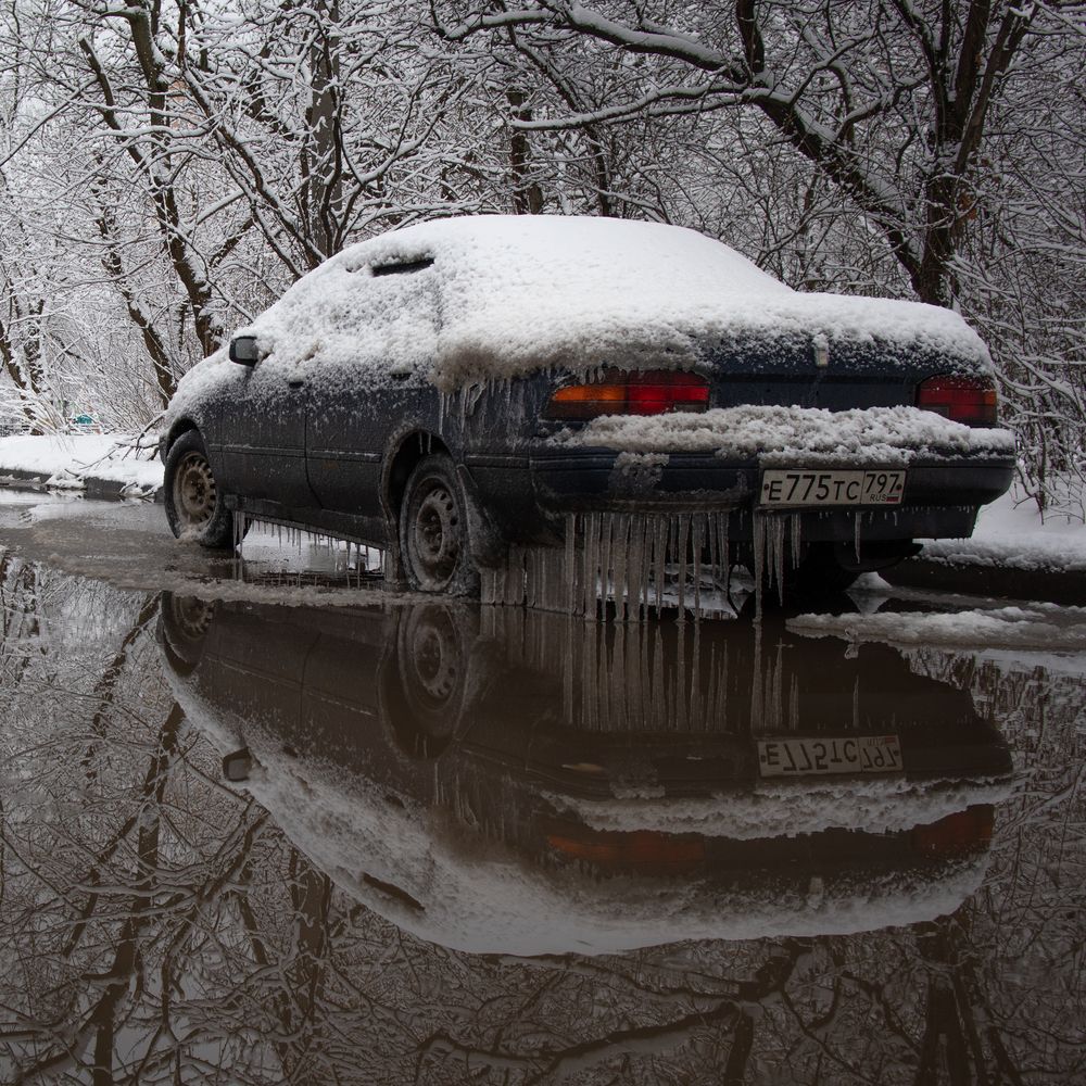 Photograph by Max Komissarov