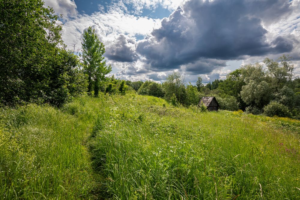 Photograph by Александр Пикулик