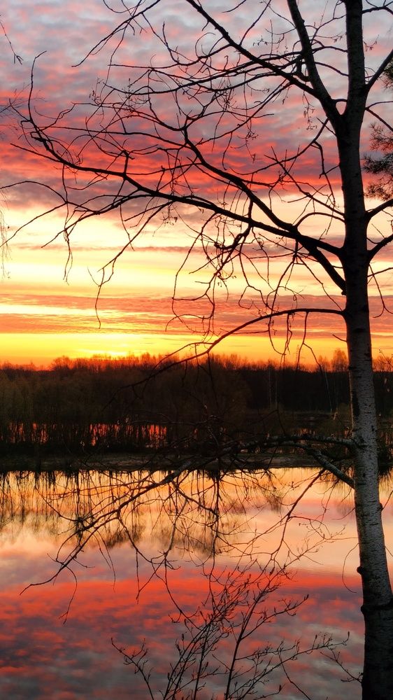 Фотография автора Юлия Денисенко