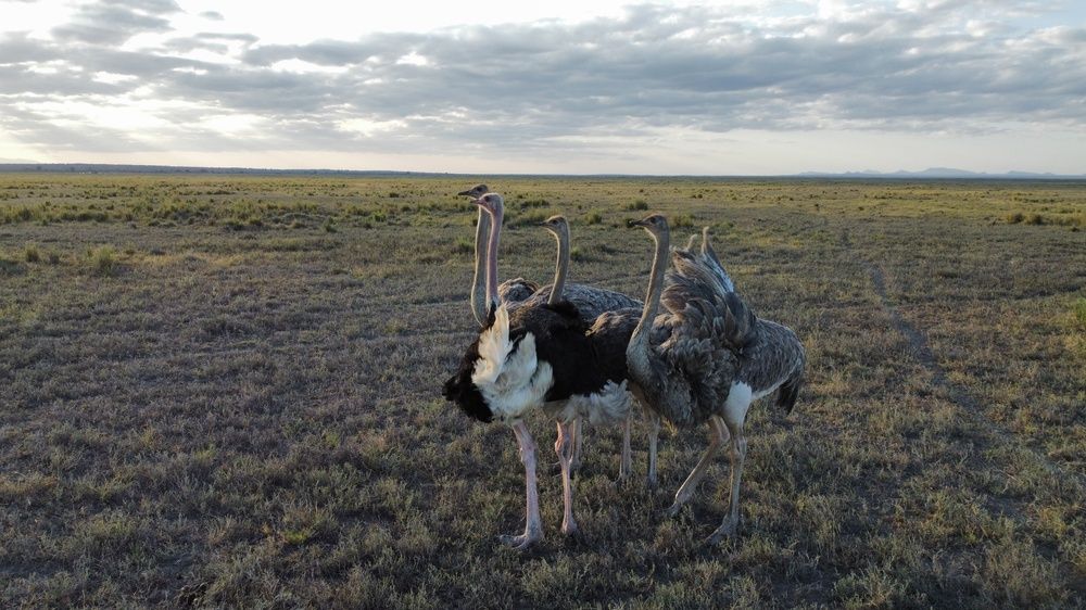 Photograph by Magoti Muyengi