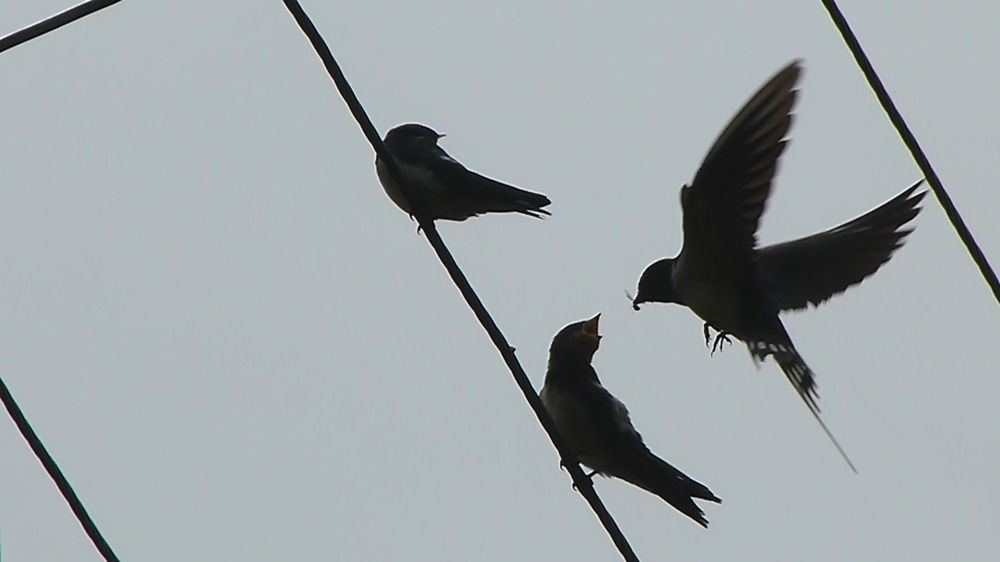 Photograph by Егор Чинарев