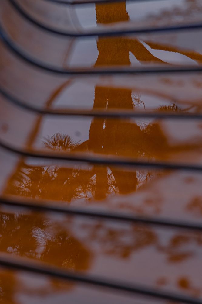 Photograph by Victoria Mogulyan