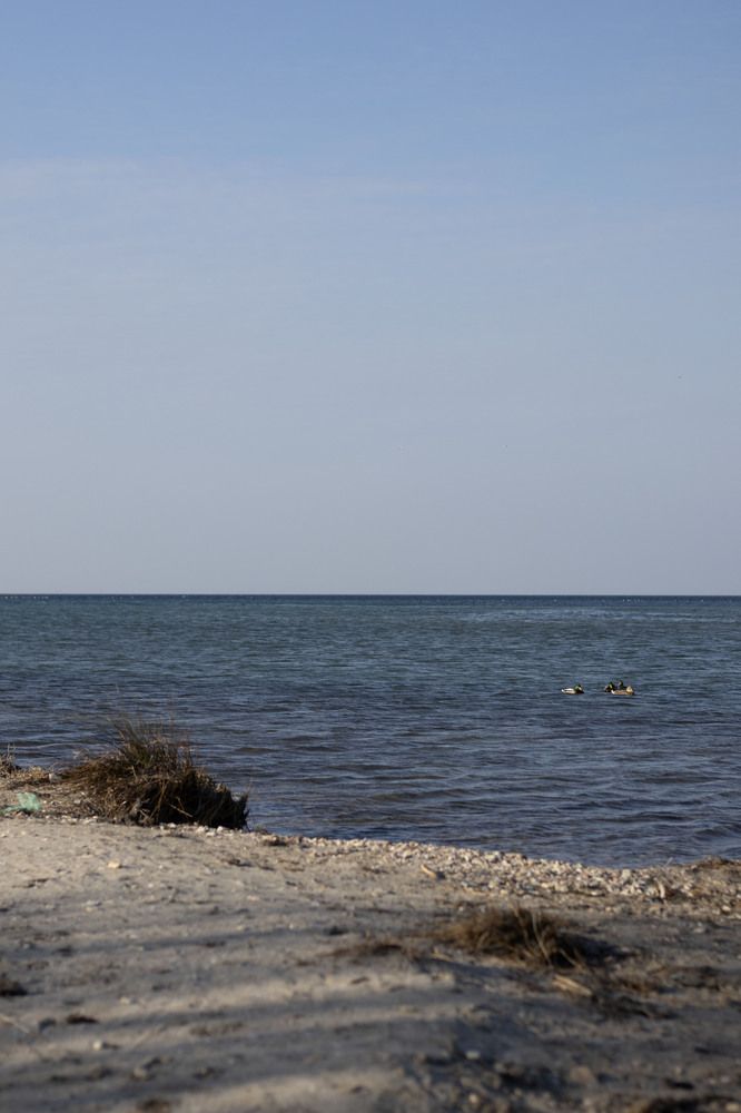 Photograph by Ксения Золотарь