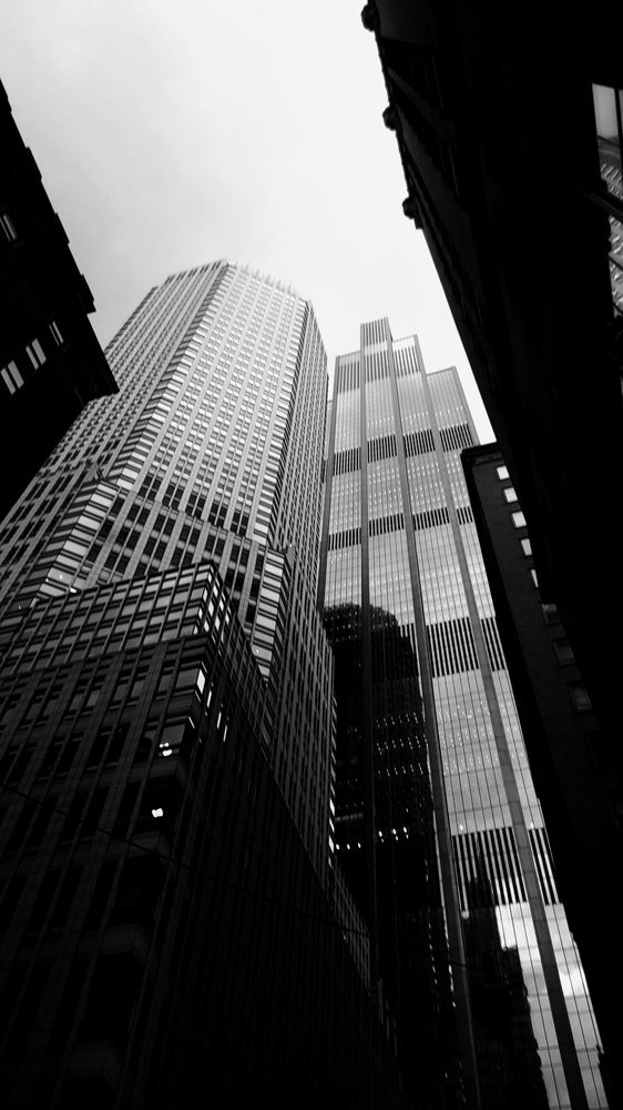 Photo #12300553