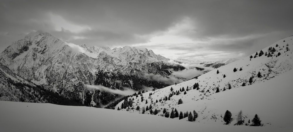 Photo #12300554