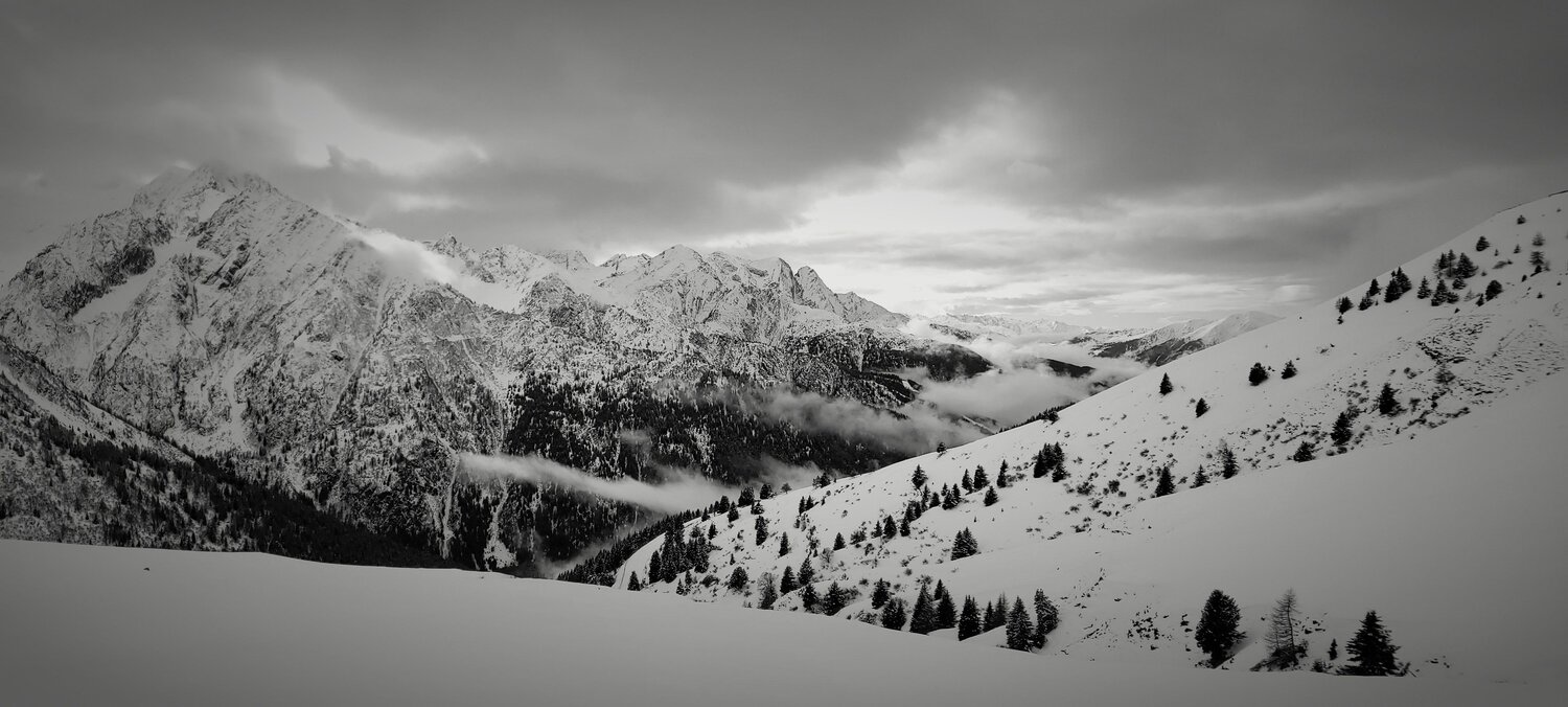 Photo #12300554
