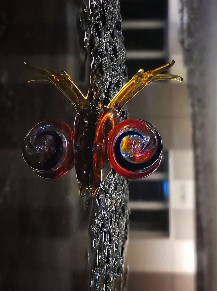 Photograph by Елена Акимова