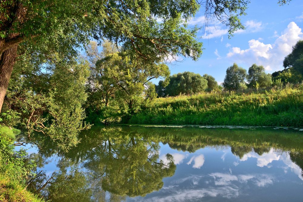 Photograph by Aleksander Perevolotsky