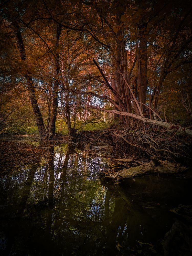 Фотография автора Евгений Былков