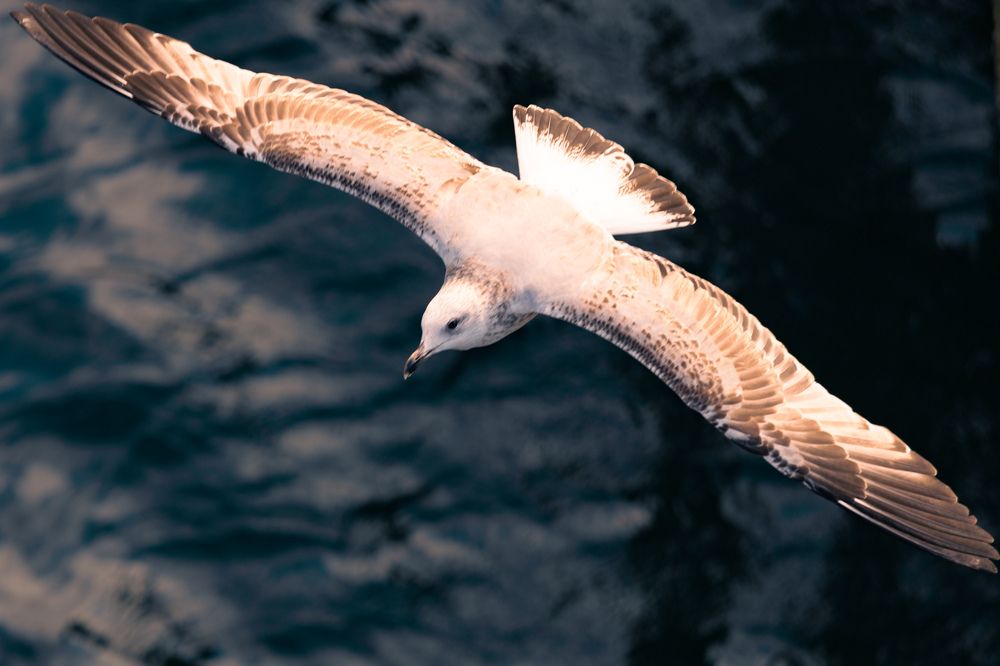 Photograph by Siarhei Saladukhin