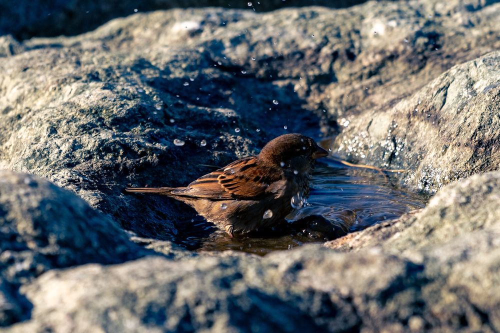 Photograph by Siarhei Saladukhin