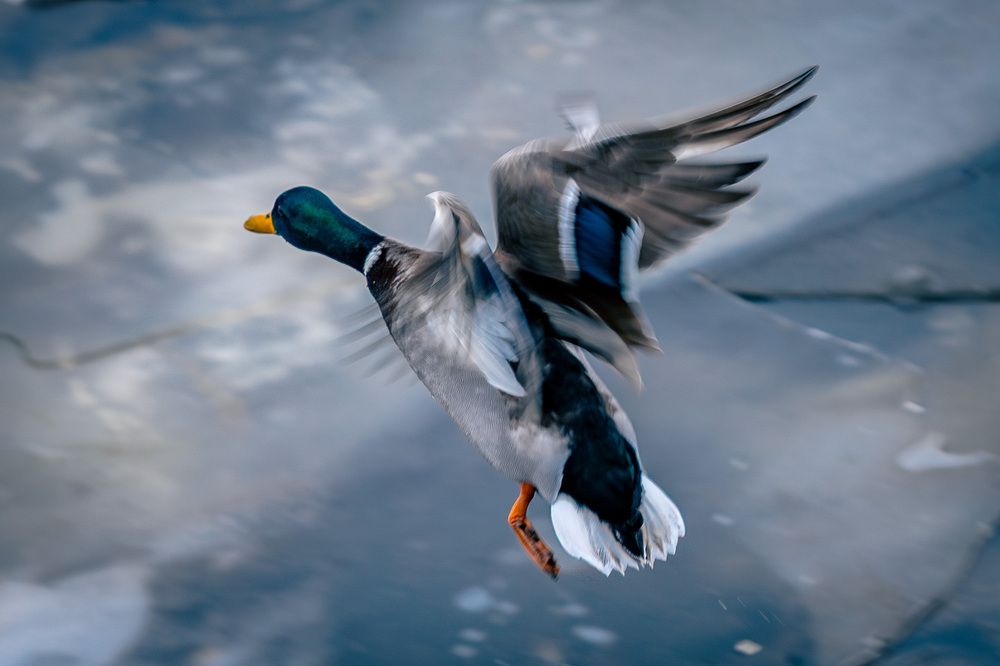 Photograph by Siarhei Saladukhin