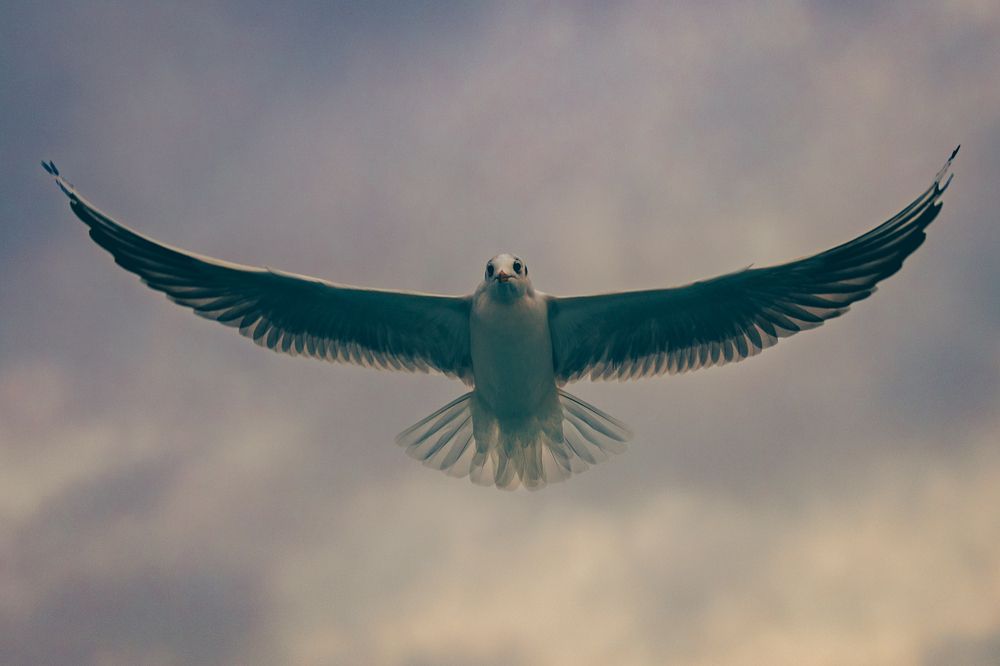 Photograph by Siarhei Saladukhin