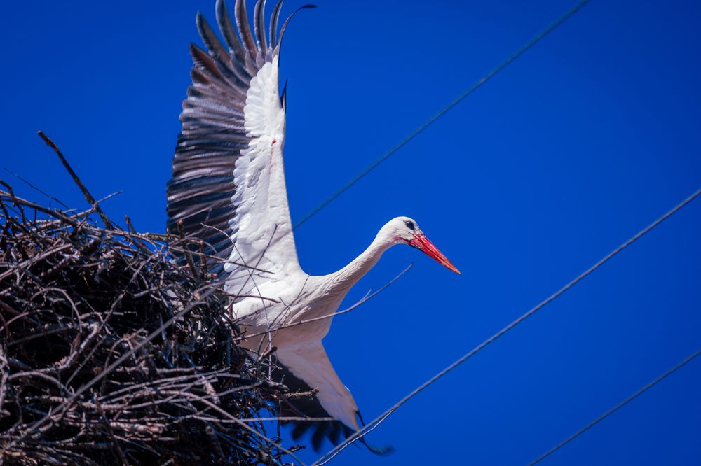 Photograph by Siarhei Saladukhin