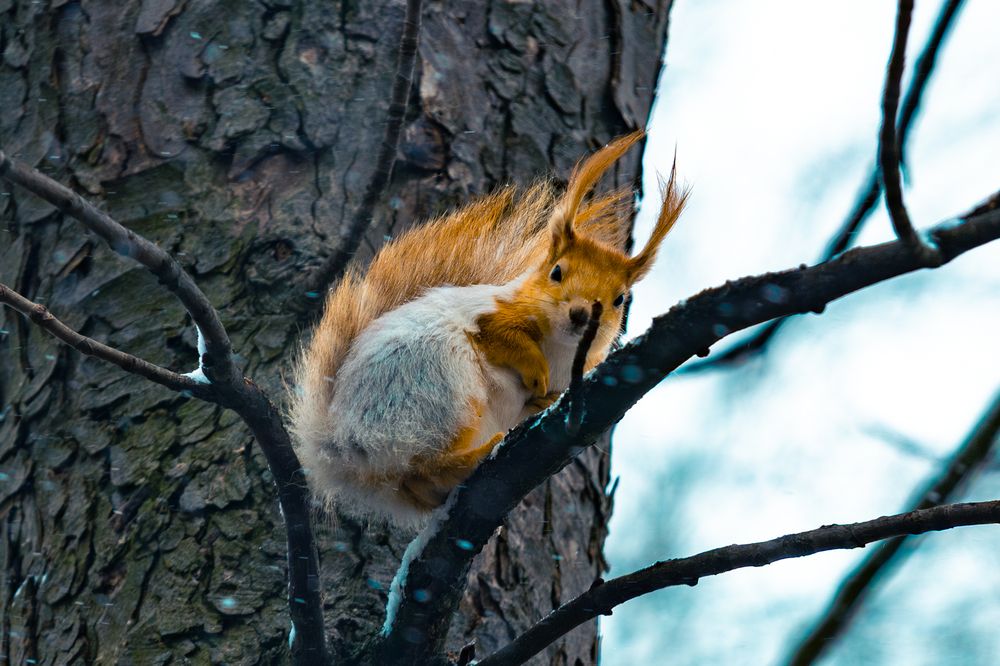 Photograph by Siarhei Saladukhin