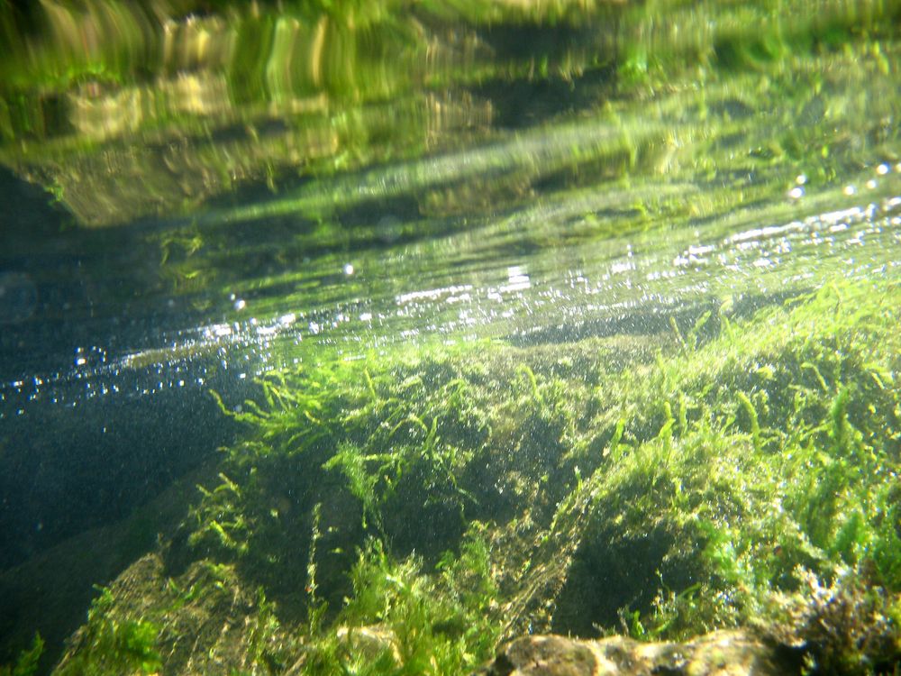 Фотография автора Евгений