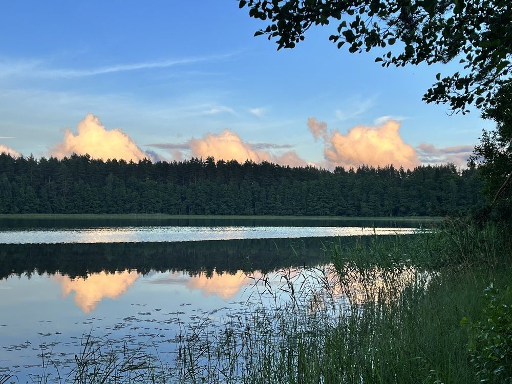 Photograph by Евгения Лазарева