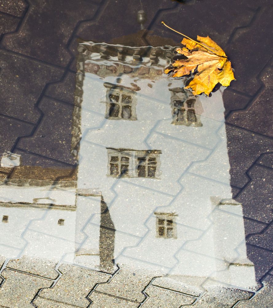 Последний жёлтый лист