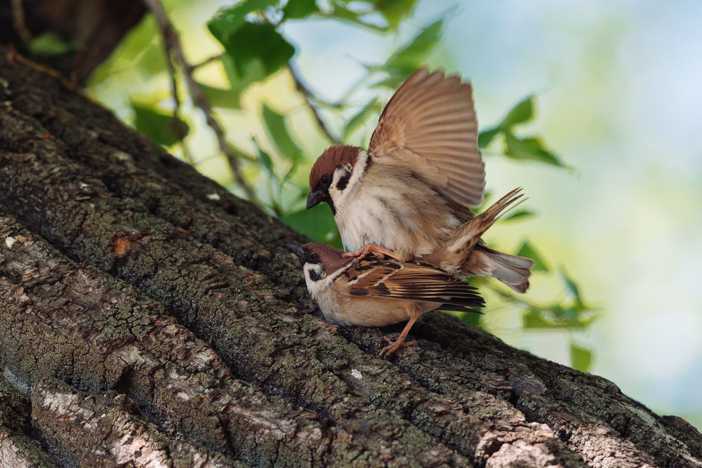 Photograph by Татьяна Ровенская