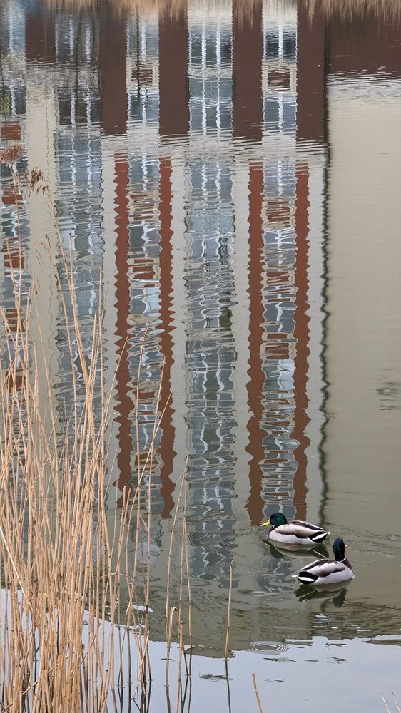 Фотография автора Ксения Шляйхер