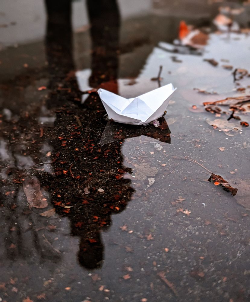 Фотография автора Ксения Шляйхер