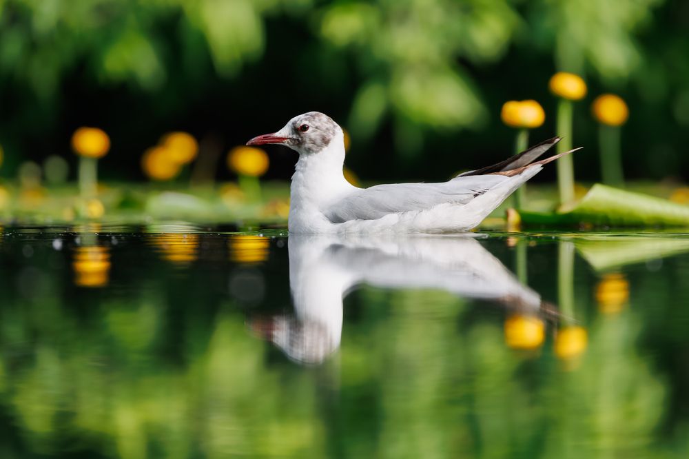 Photograph by Вера Машина