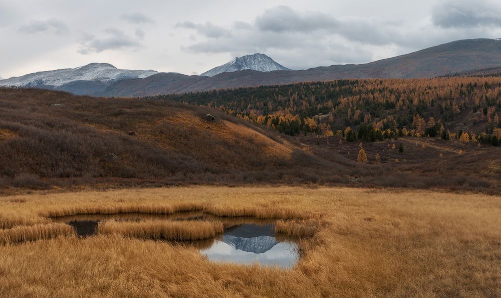 Photograph by Сергей Молоков