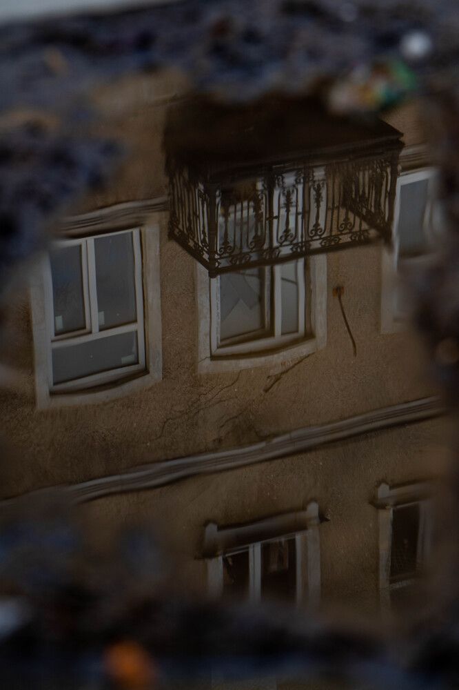 Photograph by Алёна