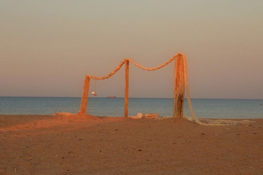 Photograph by Ольга Шевцова