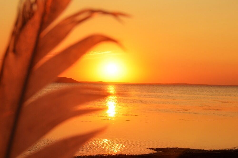 Photograph by Ольга Шевцова