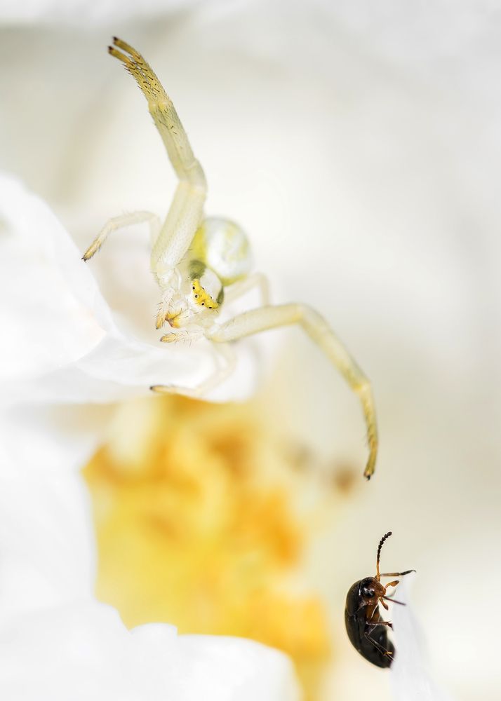 Photograph by Victor Stepanov