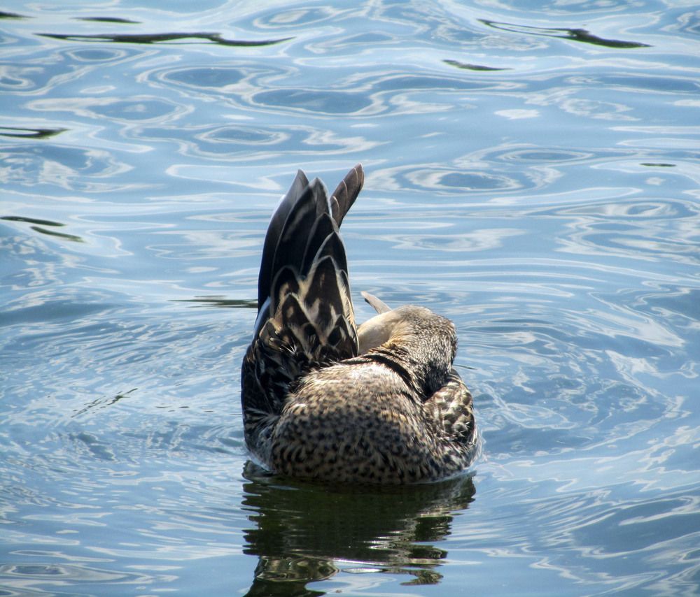 Photograph by Анастасия Горбачева