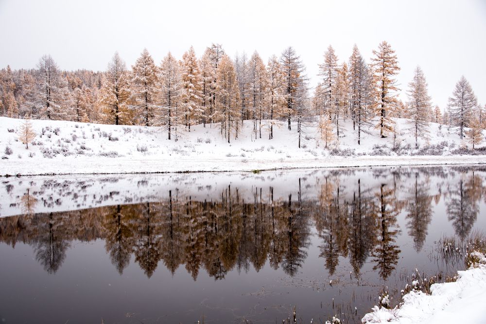 Photograph by Марина Корреа Ластра