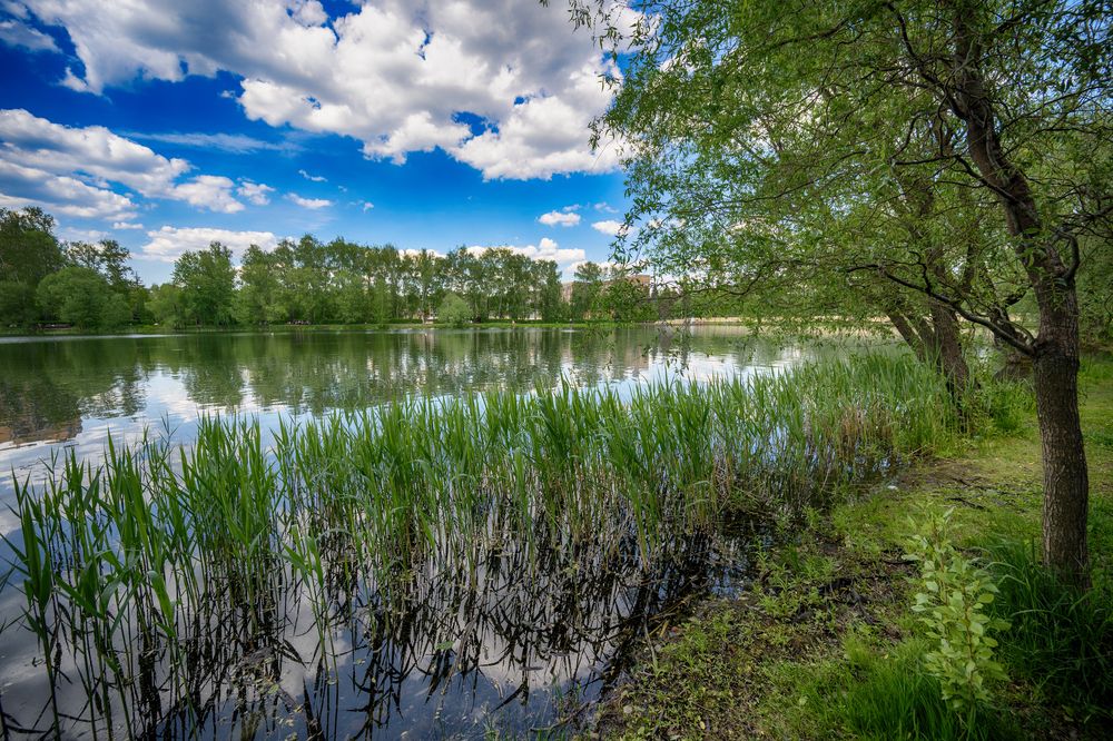 Photograph by Андрей Ныриков