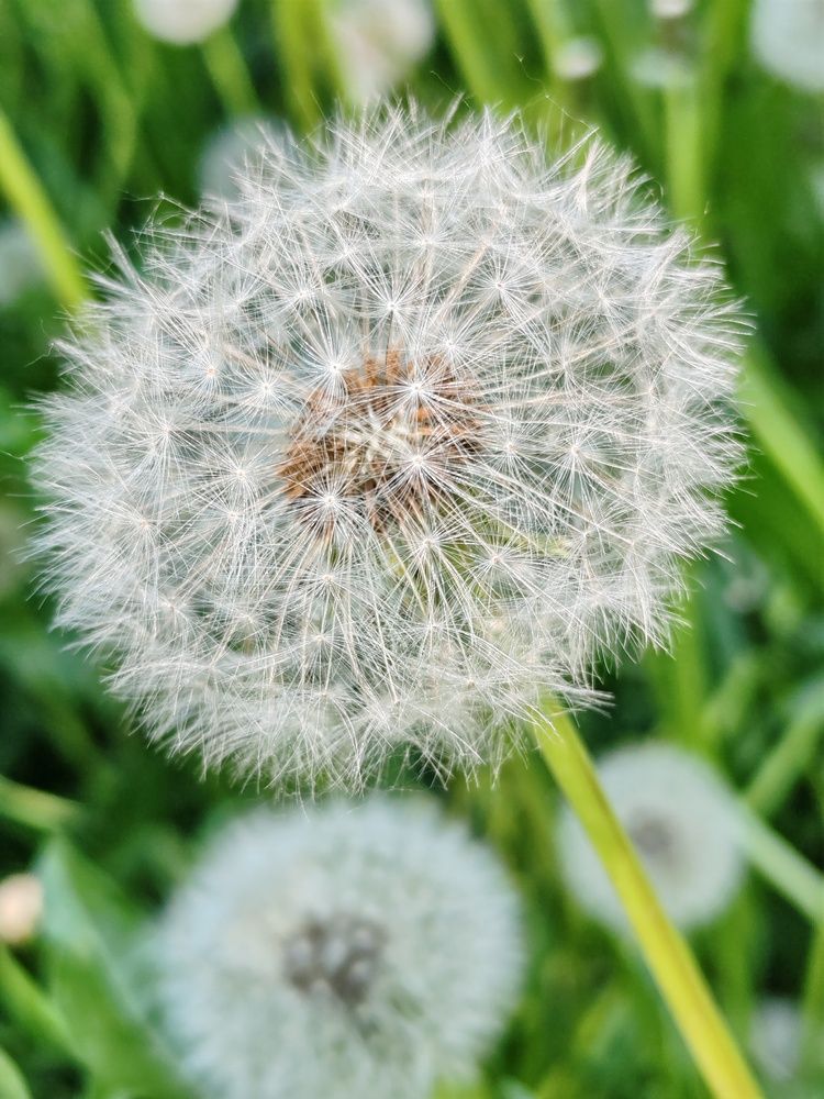 Фотография автора Андрей Данильсон
