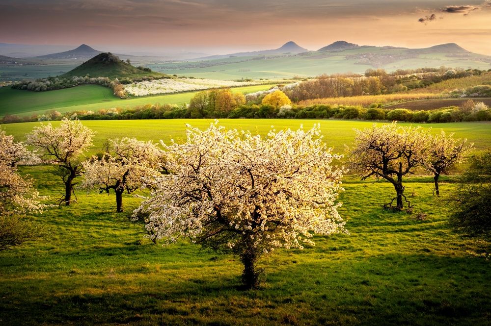 Фотография автора Petr Kovar