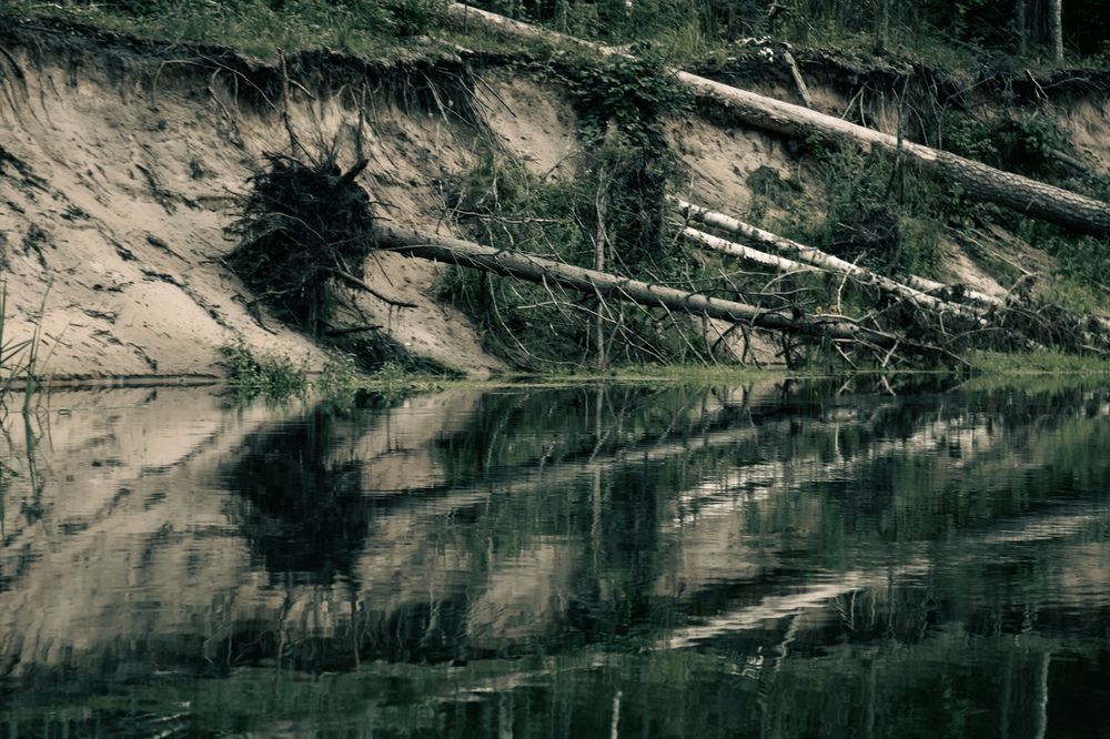 Photograph by Сагдиева Эльвира