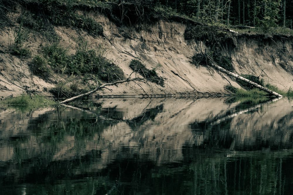 Photograph by Сагдиева Эльвира