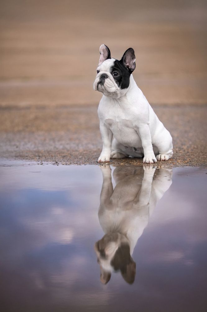 Photograph by Наталья Орел