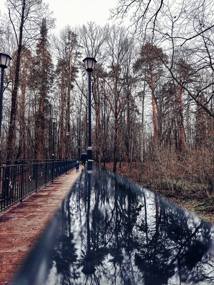 Photograph by Марина Безденежных