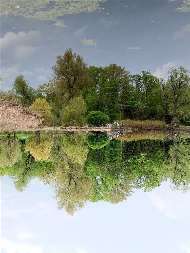 Photograph by Марина Ткаченко