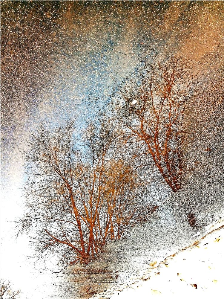 Photograph by Марина Ткаченко